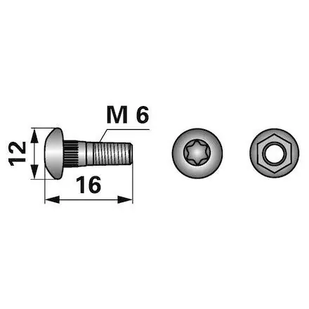 Sonderaktion Torx-Zahnschraube M6 x 16 für Klinge Schumacher