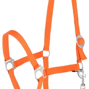 Nylonhalfter "Hippo" Gr.3, orange Sale