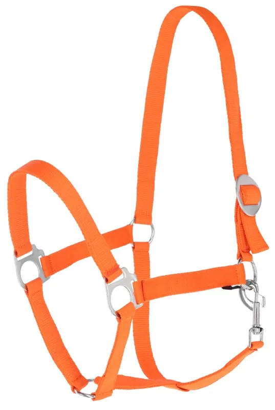 Nylonhalfter "Hippo" Gr.3, orange Sale
