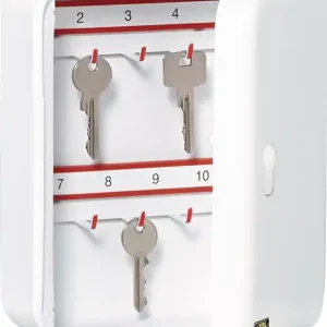 Sonderaktion Schlüsselbox CS 24 V-PZ H255xB205xT75mm grau Stahlbl.Anz.Hak.24 BURG-WÄCHTER