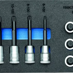 Nur Heute GEDORE 1500 CT1-INX 19 LK Satz Schraubendrehereinsätze 1/2" in Check-Tool-Modul