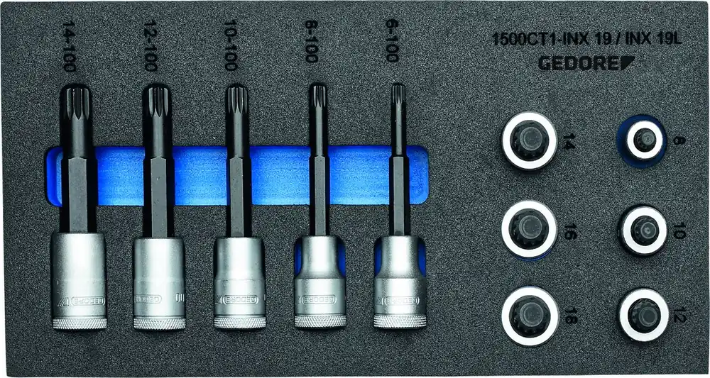 Nur Heute GEDORE 1500 CT1-INX 19 LK Satz Schraubendrehereinsätze 1/2" in Check-Tool-Modul