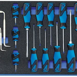 Neu GEDORE CT2-2160 2005 Schraubendreher-Satz in Check-Tool-Modul 15-teilig