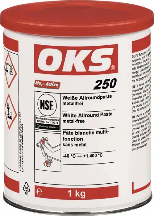 Sonderangebot Allroundpaste OKS 250 weiß 1kg Dose OKS
