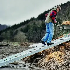 Mauderer Verladesteg MG 60 Sichere Zahlung