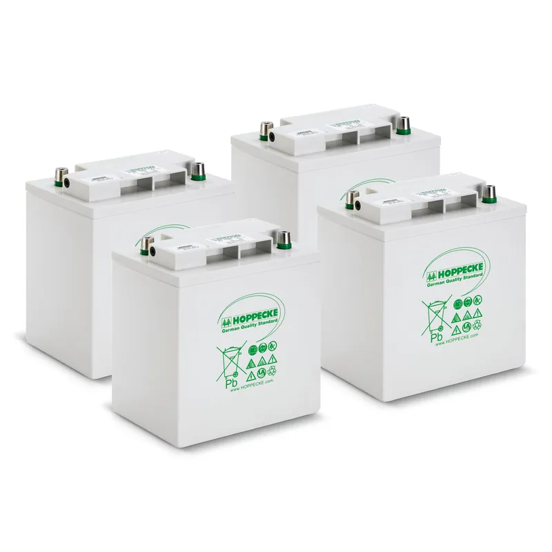 Sichere Zahlung Kärcher Batteriesatz AGM 4x 6V/170Ah
