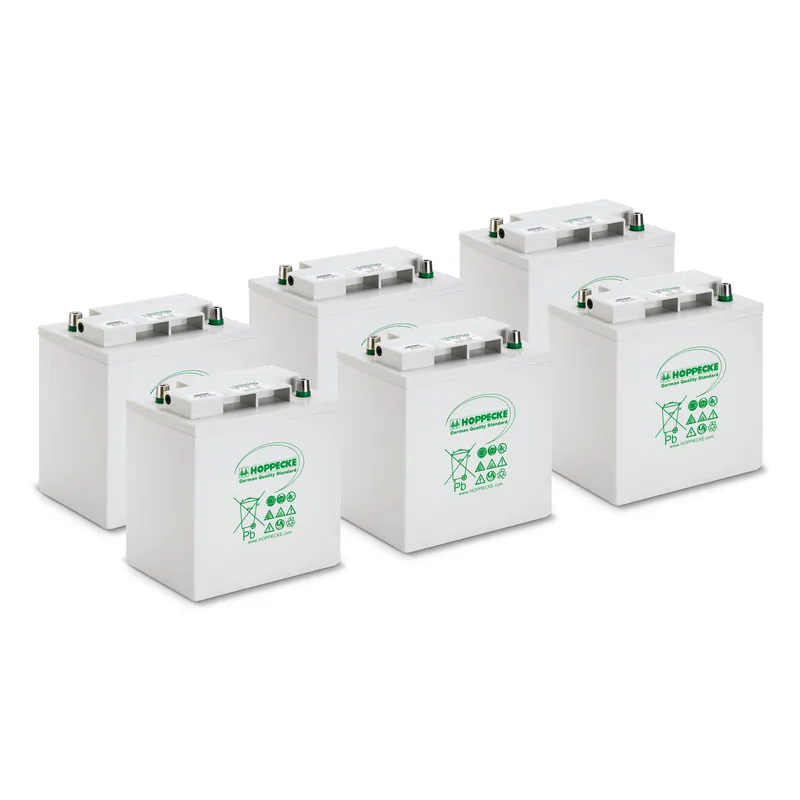 Kärcher Batteriesatz AGM 6x 6V/170Ah Echt