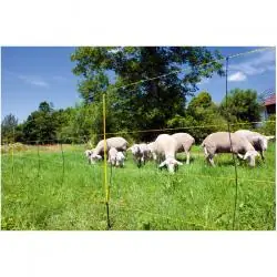 Sonderangebot EasyNet - Schafnetz - Länge 50 m - Höhe 105 cm