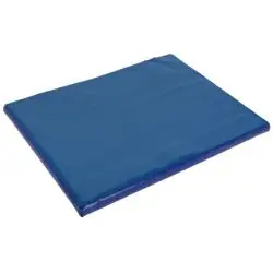Desinfektionsmatte - Fassungsvermögen 6 l - Abmessungen (L x B x H) 55 x 45 x 3 cm - blau Aktuell