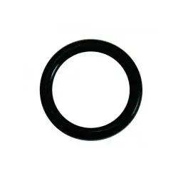 Preisreduziert Dichtungsring - für Graf® Messinghahn - chemiebeständig - Gewindegröße 3/4"
