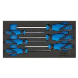 Schraubendreher-Satz TX - in Check-Tool-Modul 1/3 - T8 - T30 - 6-tlg. Billig