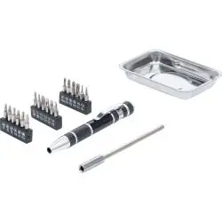 Begrenztes Angebot Präzisionsschraubendreherbit-Satz - mit Magnethaftschale - 21-tlg.